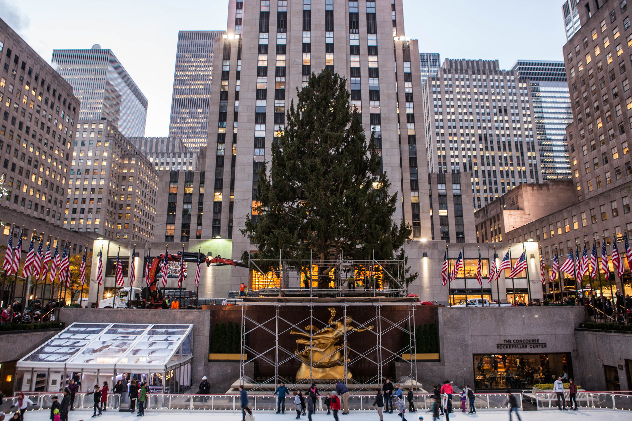 New York accueille son sapin de Noël géant ©New York New York accueille son sapin de Noël géant ©New York