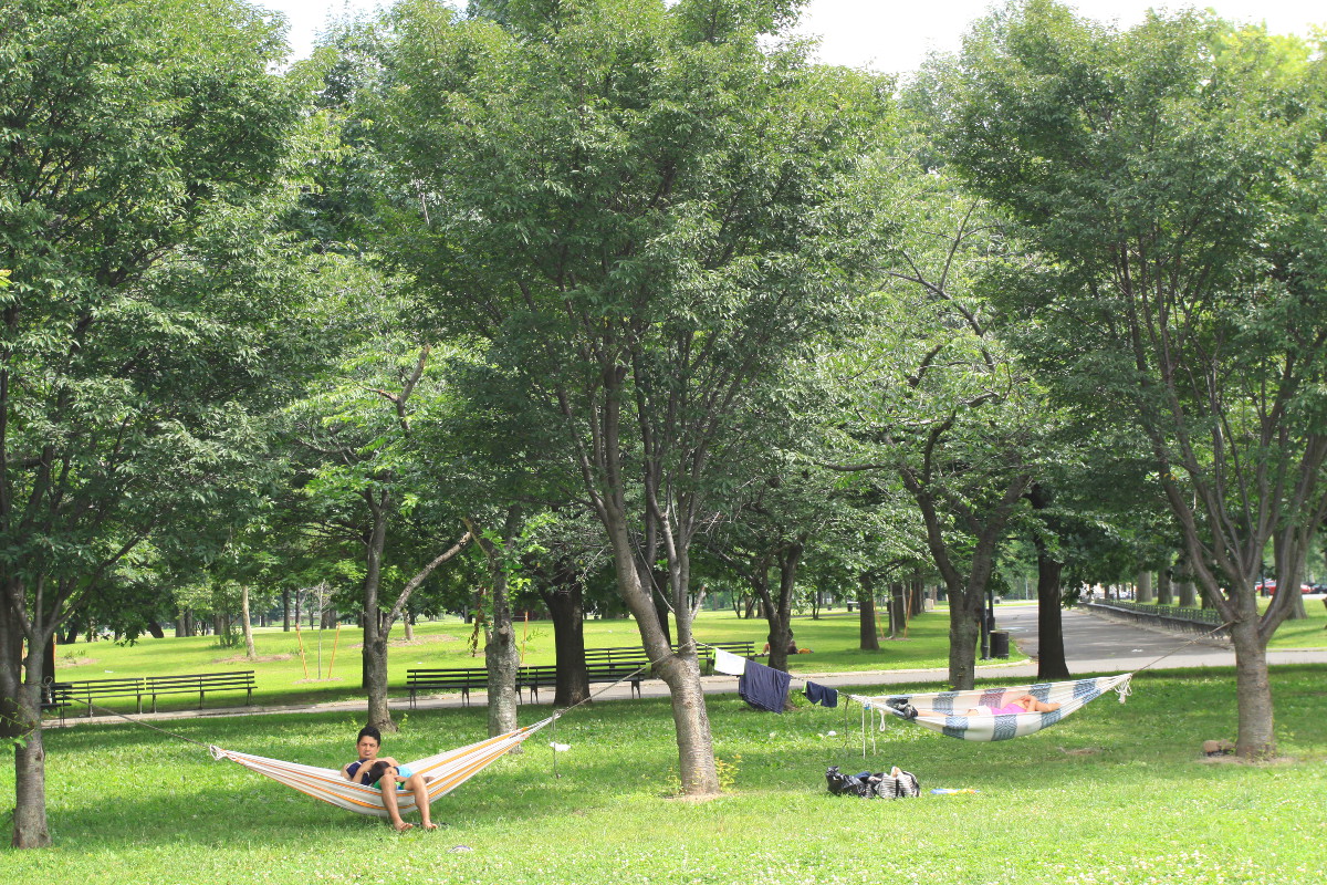 parking flushing meadows corona park parking flushing meadows corona park