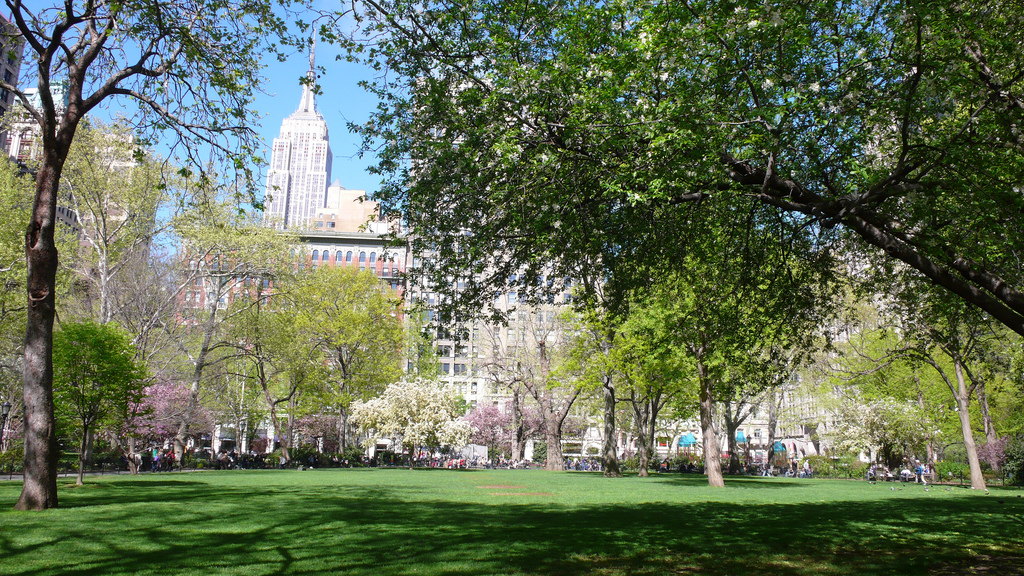 Madison Square Park