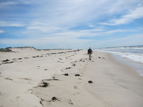 Fire Island