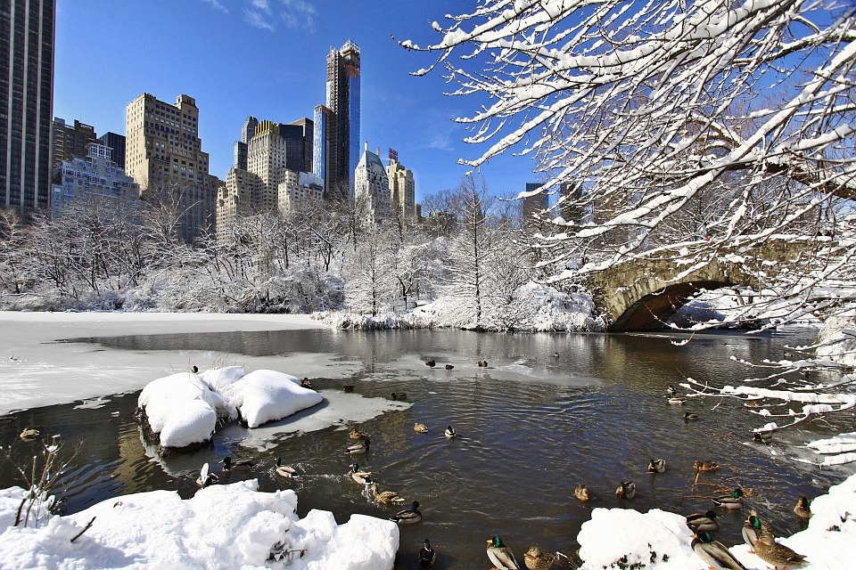 HNL Linge De Lit Central park hiver neige snow ville city New york windex NYC