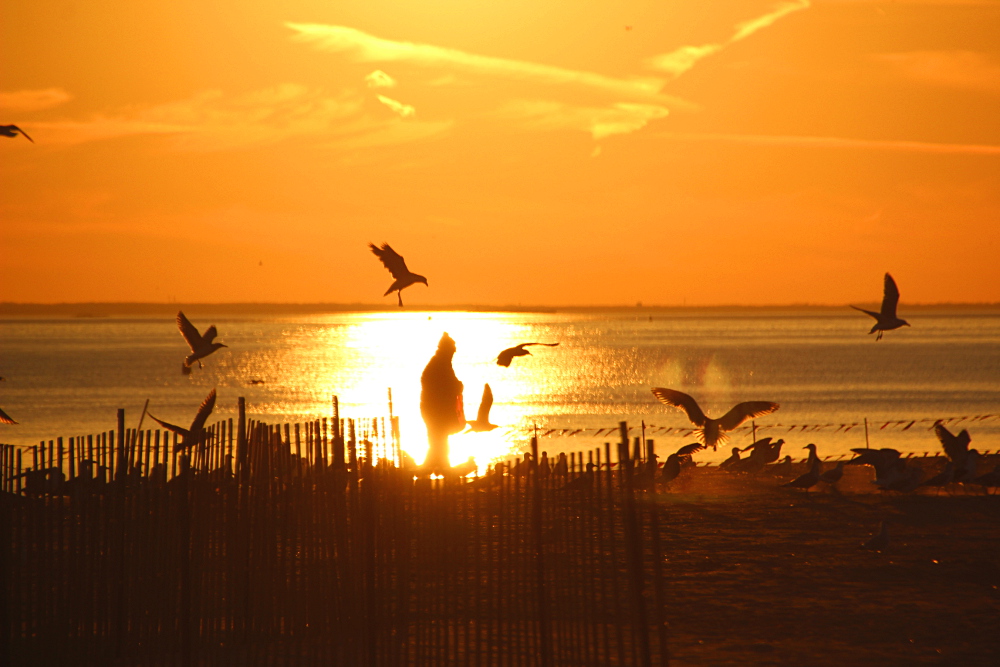 plage coney island new york