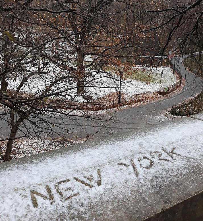 central park neige