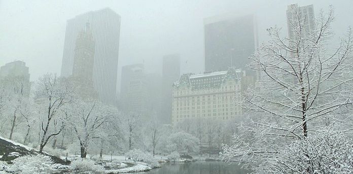 neige new york central park