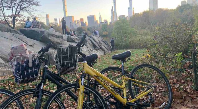 visite à vélo Central Park